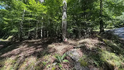Lot 45 Granite Drive Hayesville NC 28904