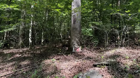 Lot 45 Granite Drive Hayesville NC 28904
