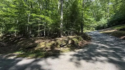 Lot 45 Granite Drive Hayesville NC 28904