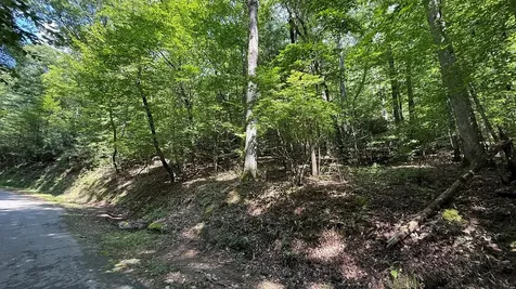 Lot 45 Granite Drive Hayesville NC 28904