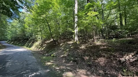 Lot 45 Granite Drive Hayesville NC 28904
