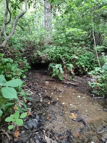 580 Overlook Robbinsville NC 28771