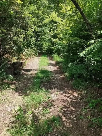 580 Overlook Robbinsville NC 28771
