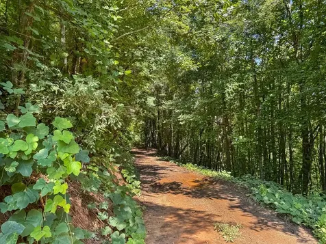 182.04 Fain Peak Murphy NC 28906