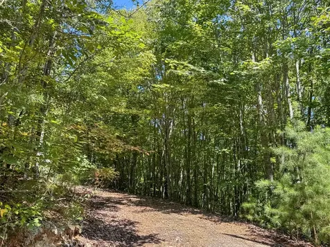 182.04 Fain Peak Murphy NC 28906