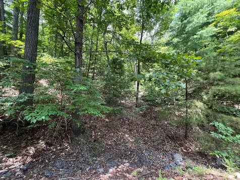 Lot 32 Mission Ridge Hayesville NC 28904
