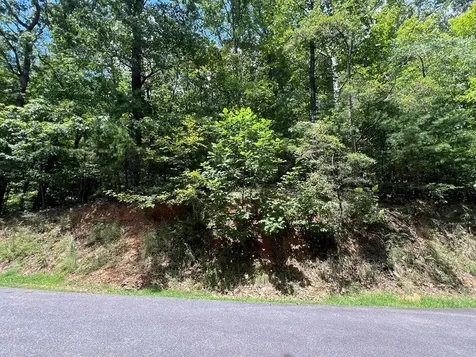 Lot 32 Mission Ridge Hayesville NC 28904