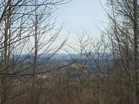 130 Trophy Buck Point Murphy NC 28906
