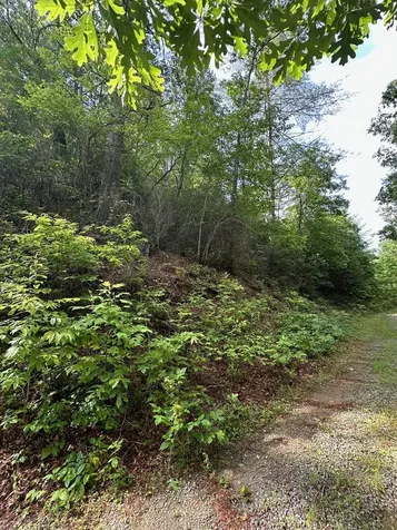 Lot 62 & Creek Lot A, Stone Ridge Falls Murphy NC 28906