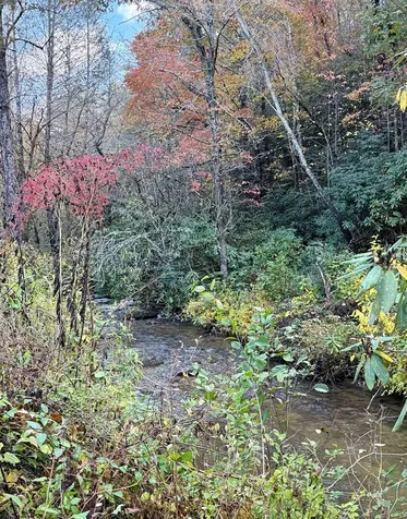 Lot 62 & Creek Lot A, Stone Ridge Falls Murphy NC 28906