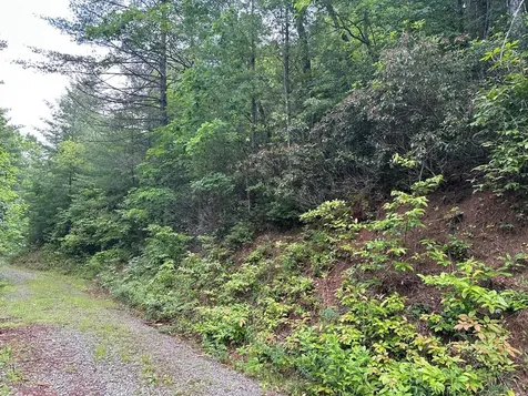 Lot 62 & Creek Lot A, Stone Ridge Falls Murphy NC 28906