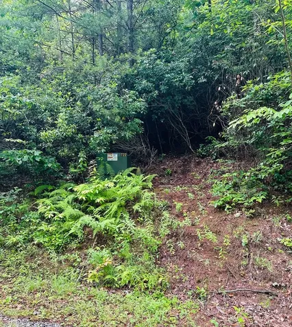 Lot 62 & Creek Lot A, Stone Ridge Falls Murphy NC 28906