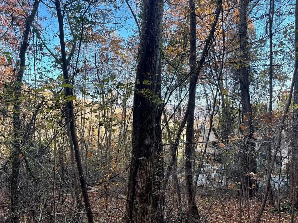 Lot 51j Indian Trail Hayesville NC 28904