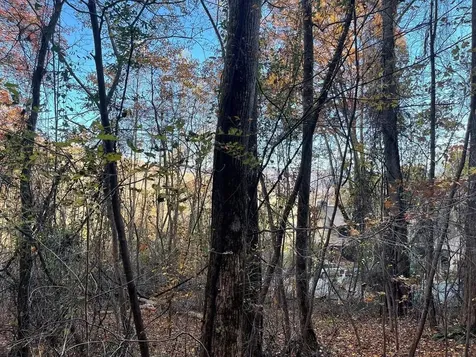 Lot 51j Indian Trail Hayesville NC 28904