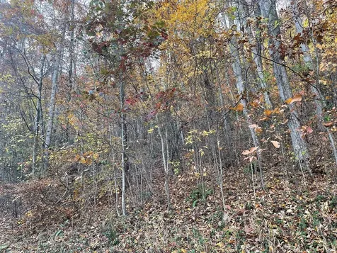 Lot 51j Indian Trail Hayesville NC 28904