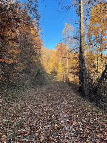 Lot 51j Indian Trail Hayesville NC 28904
