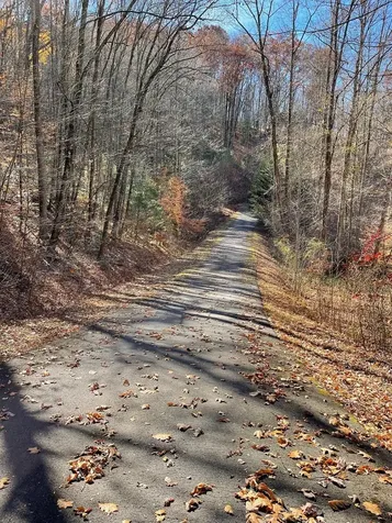 Tbd Ashe Knob Drive Hayesville NC 28904