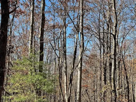 Tbd Ashe Knob Drive Hayesville NC 28904