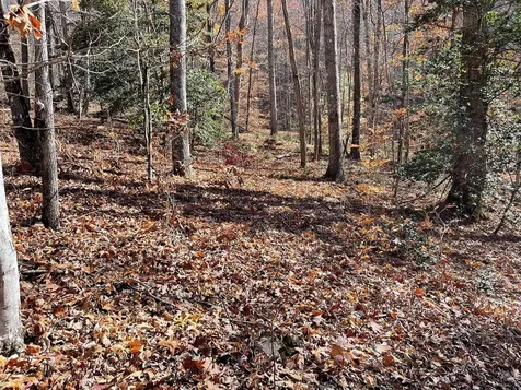 Tbd Ashe Knob Drive Hayesville NC 28904