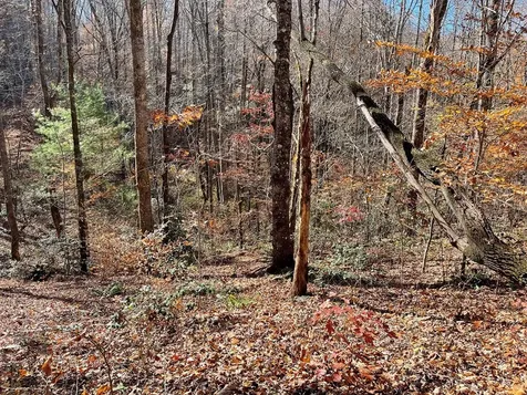 Tbd Ashe Knob Drive Hayesville NC 28904