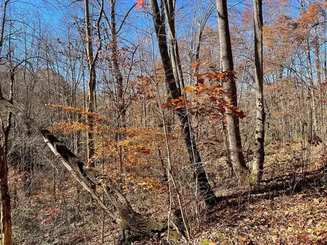 Tbd Ashe Knob Drive Hayesville NC 28904