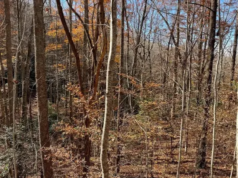 Tbd Ashe Knob Drive Hayesville NC 28904