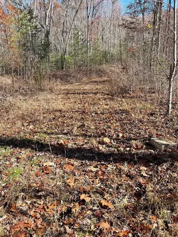 Tbd Ashe Knob Drive Hayesville NC 28904
