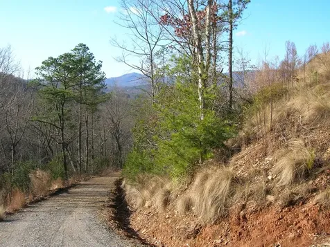 247 Rice Lane Murphy NC 28906