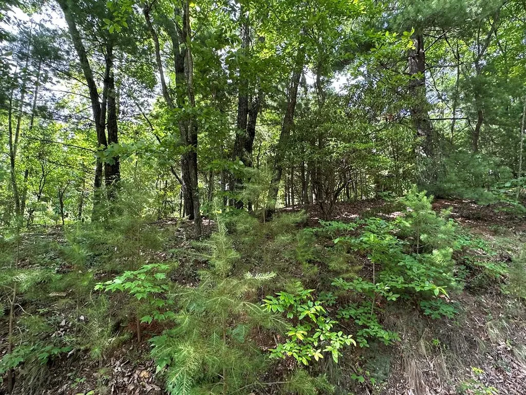 Lot 31 Peak Trail Murphy NC 28906