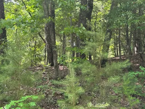 Lot 31 Peak Trail Murphy NC 28906