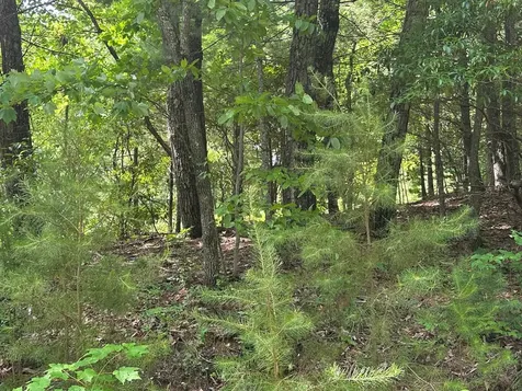 Lot 31 Peak Trail Murphy NC 28906