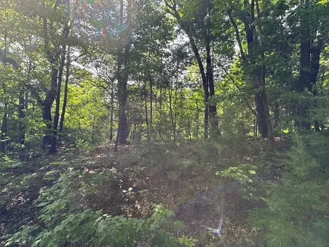 Lot 31 Peak Trail Murphy NC 28906