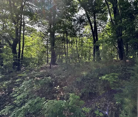 Lot 31 Peak Trail Murphy NC 28906