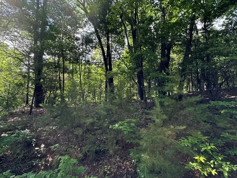 Lot 31 Peak Trail Murphy NC 28906