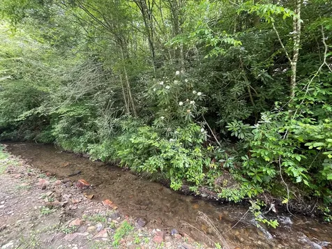 00 W Road Andrews NC 28901