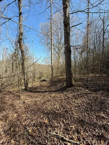 Tbd Royal Oaks Trail Brasstown NC 28902