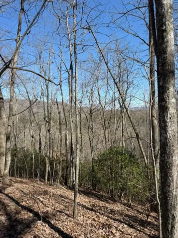 Tbd Royal Oaks Trail Brasstown NC 28902