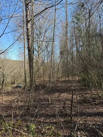 Tbd Royal Oaks Trail Brasstown NC 28902