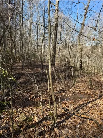 Tbd Royal Oaks Trail Brasstown NC 28902