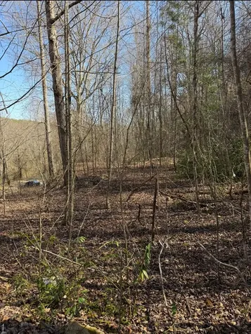 Tbd Royal Oaks Trail Brasstown NC 28902