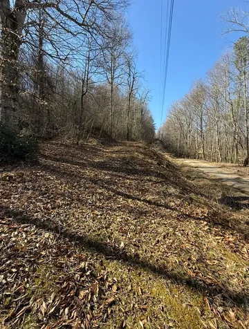 Tbd Royal Oaks Trail Brasstown NC 28902