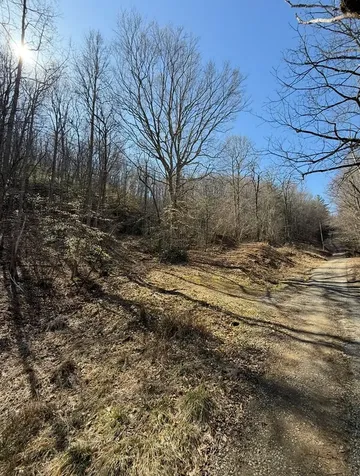 Tbd Royal Oaks Trail Brasstown NC 28902