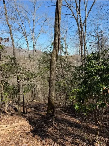 Tbd Royal Oaks Trail Brasstown NC 28902