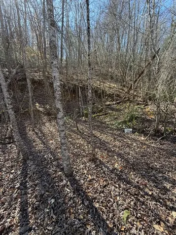 Tbd Royal Oaks Trail Brasstown NC 28902