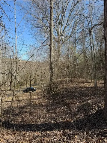 Tbd Royal Oaks Trail Brasstown NC 28902
