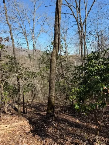Tbd Royal Oaks Trail Brasstown NC 28902