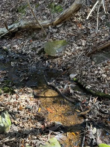 Tbd Royal Oaks Trail Brasstown NC 28902