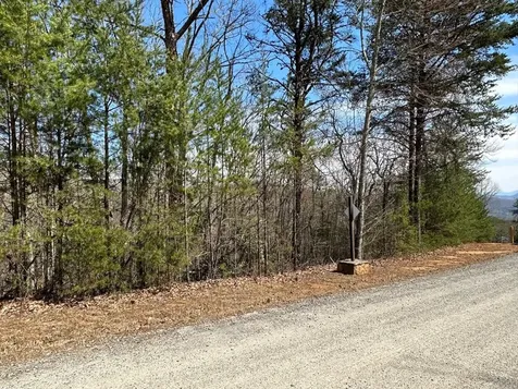 LT29 Wilderness Creek Way Murphy NC 28906