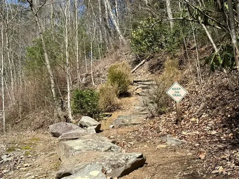 LT29 Wilderness Creek Way Murphy NC 28906