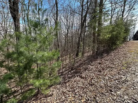 LT29 Wilderness Creek Way Murphy NC 28906